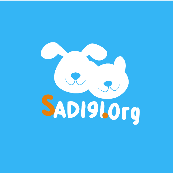 Screenshot of sadi9i website